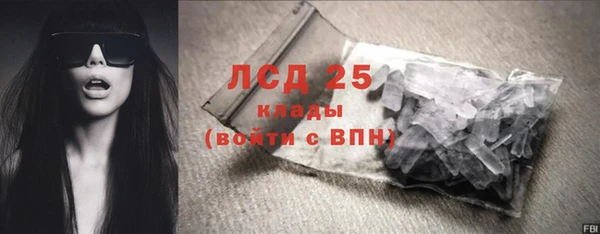 индика Зеленокумск