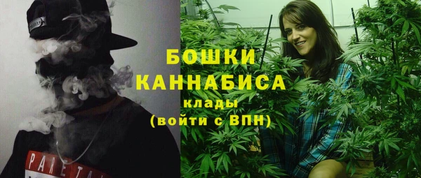 марки nbome Ельня