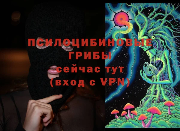 твердый Елабуга
